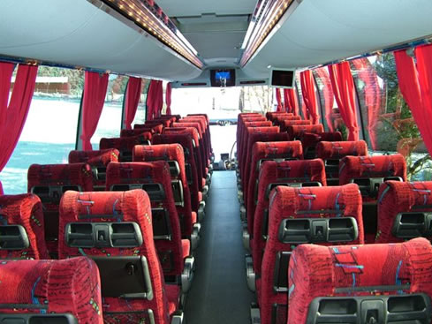 luxury coaches
